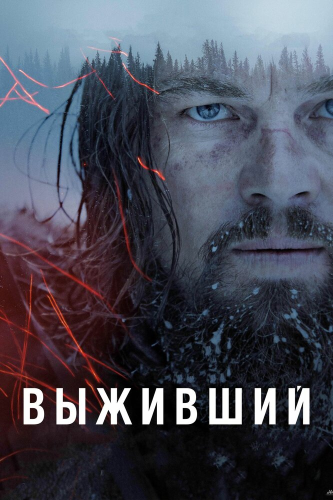 Выживший (2015) постер