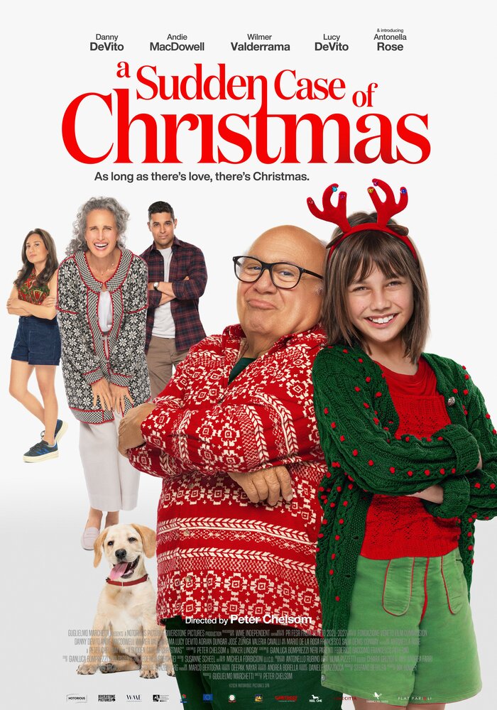 A Sudden Case of Christmas (2024) постер