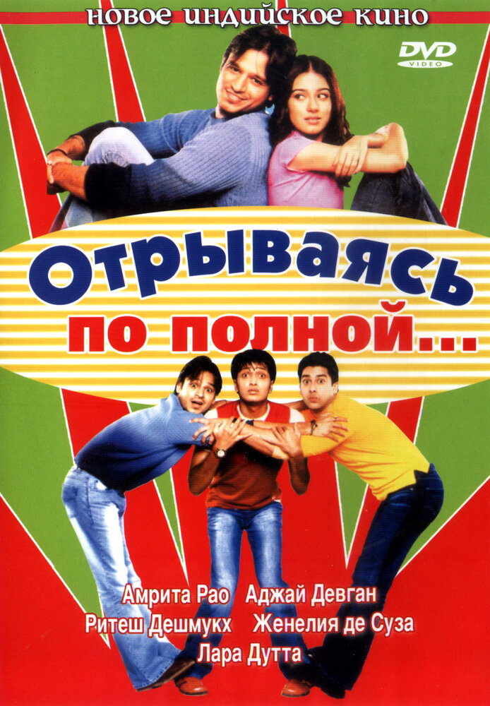 Отрываясь по полной... (2004) постер