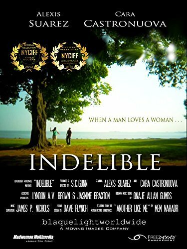 Indelible (2014) постер