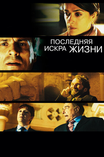 Последняя искра жизни (2011)